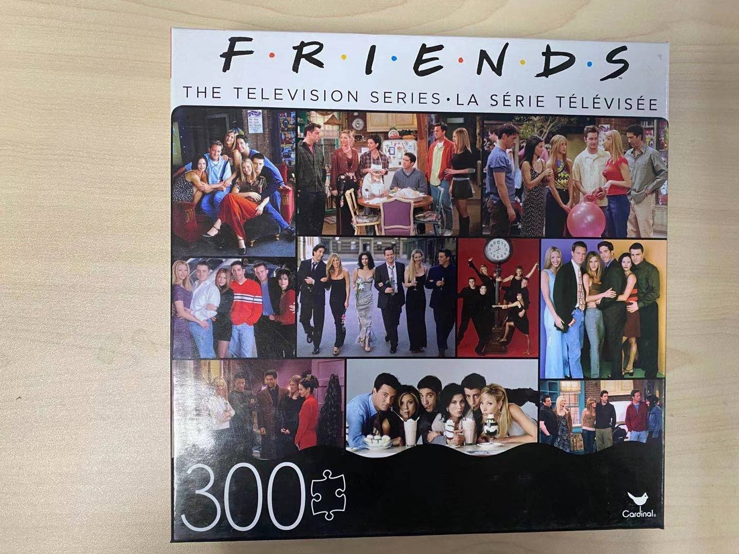 Friends 300 Piece Puzzle